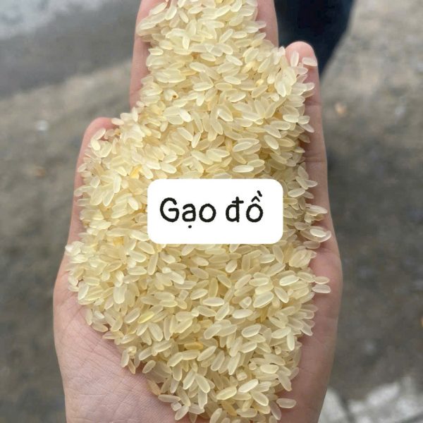 Gạo Đồ – Dinh dưỡng cao, tốt cho sức khỏe