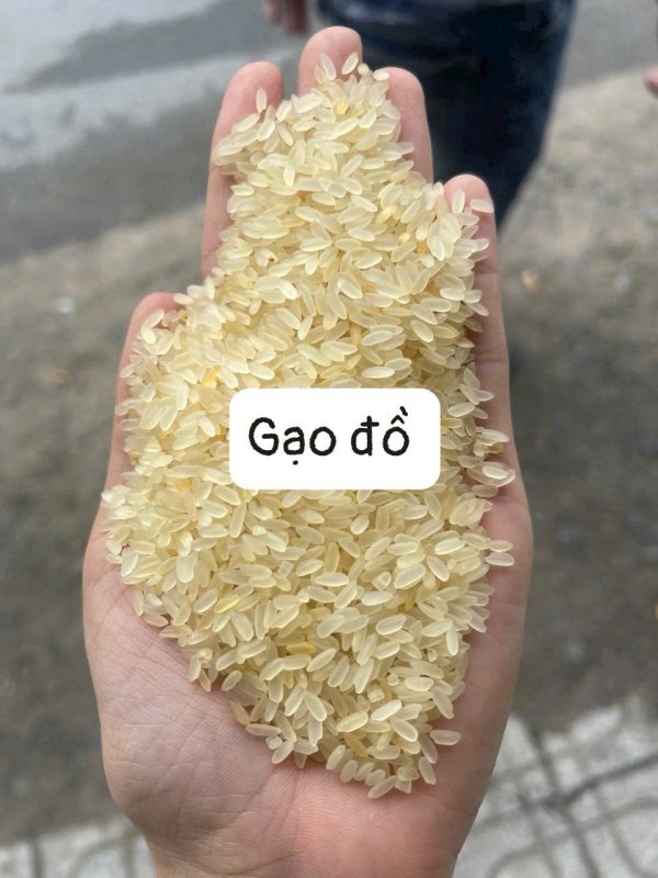 Gạo Đồ – Dinh dưỡng cao, tốt cho sức khỏe