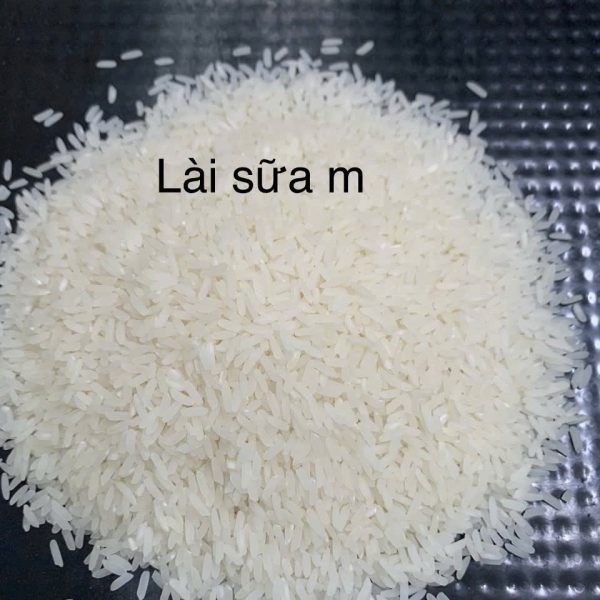 Gạo Lài Sữa M – Thơm tự nhiên, dẻo mềm tinh tế