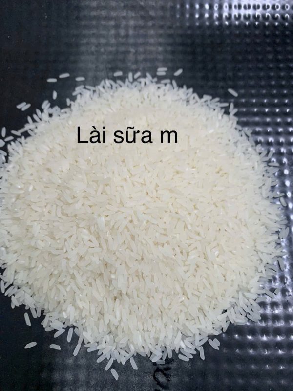 Gạo Lài Sữa M – Thơm tự nhiên, dẻo mềm tinh tế