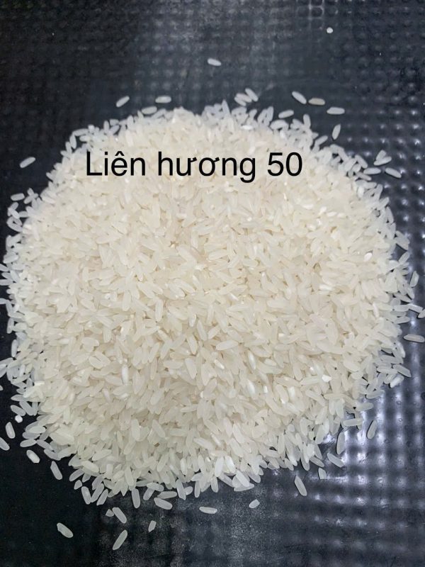 Gạo Liên Hương 50 – Gạo phổ thông, cơm dẻo mềm dễ ăn