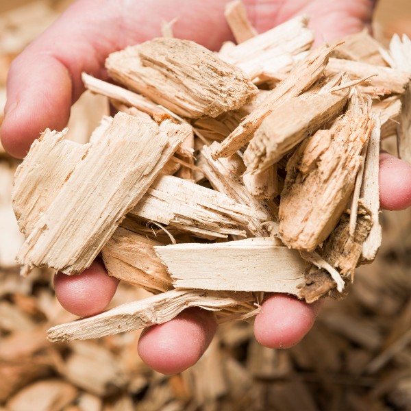 VẾT GỖ (Gỗ vụn)